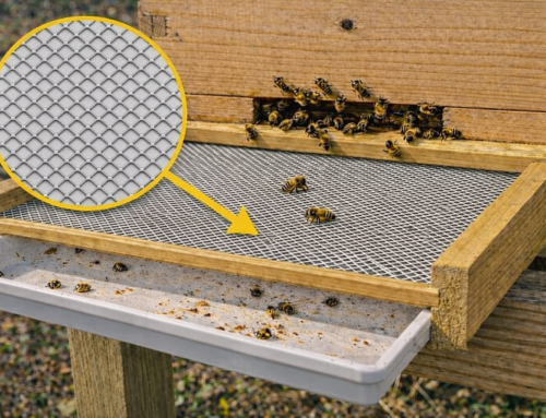 Malla anti-varroa de metal desplegado: protección natural y eficaz para las colmenas
